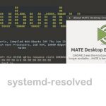 Ubuntu Network Manager systemd-resolved