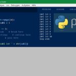 Python Loops mit Break- Continue- Pass