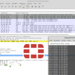 FortiGate Sniffer Output in Wireshark