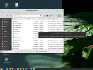 Linux Mint Desktop Fenster Einrasten