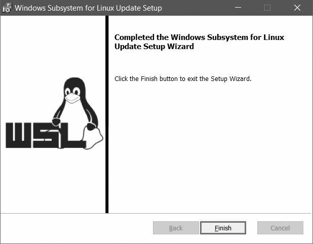 Then download Windows Subsystem for Linux 2 (WSL 2) and run the Update Setup Wizard.