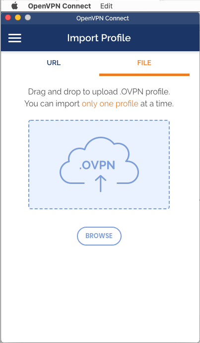 OpenVPN Connect for macOS Import and Edit