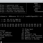 OPNsense_VMware-ESXi-Console