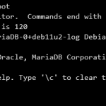 MariaDB MySQL Datenbank erstellen und löschen in Terminal